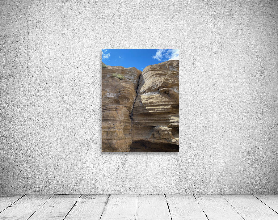 IMG 0911 Wall Preview