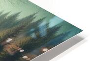 forest 2 HD Metal print