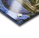 gazebo Acrylic print