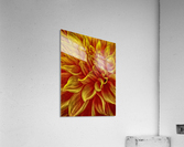 pumpkin yellow Acrylic Print