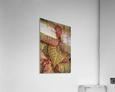 plant 3 Acrylic Print