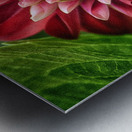 the hidden Metal print