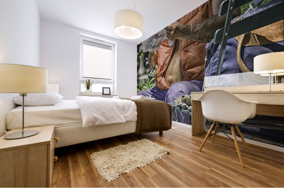 belly button Mural print