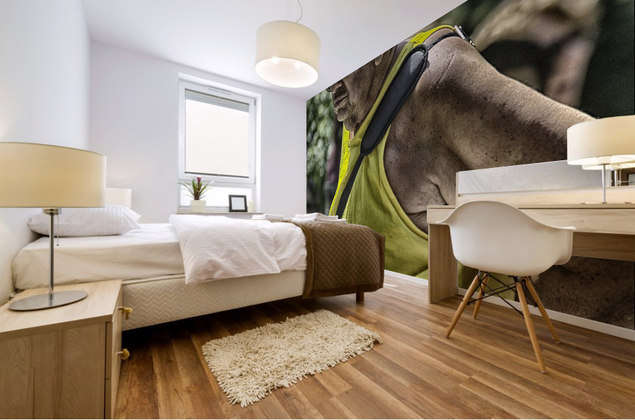 walking man Mural print