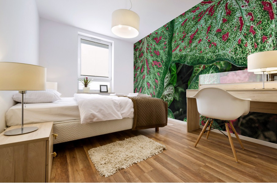 color leaves Mural print