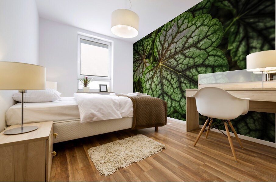 peek a boo Mural print