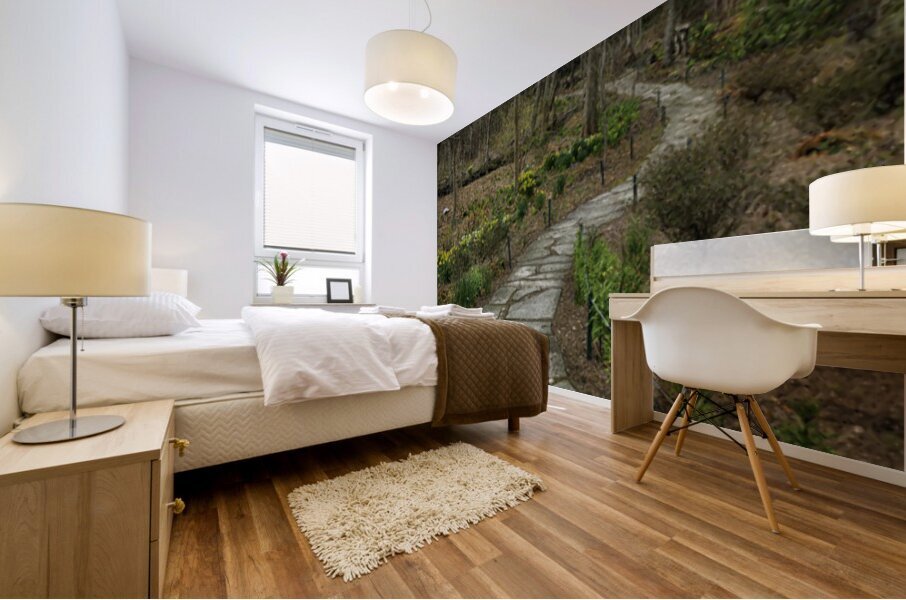 path Mural print