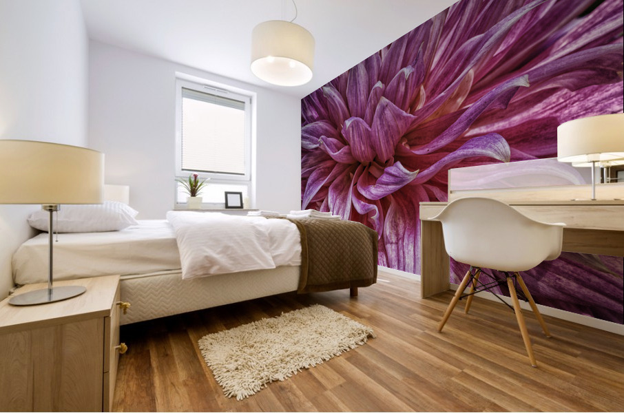 dahlia two Mural print