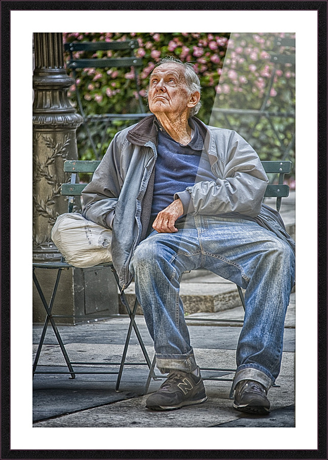 looking up Picture Frame print
