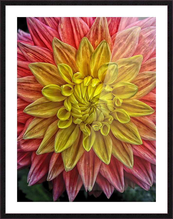 carnival Picture Frame print