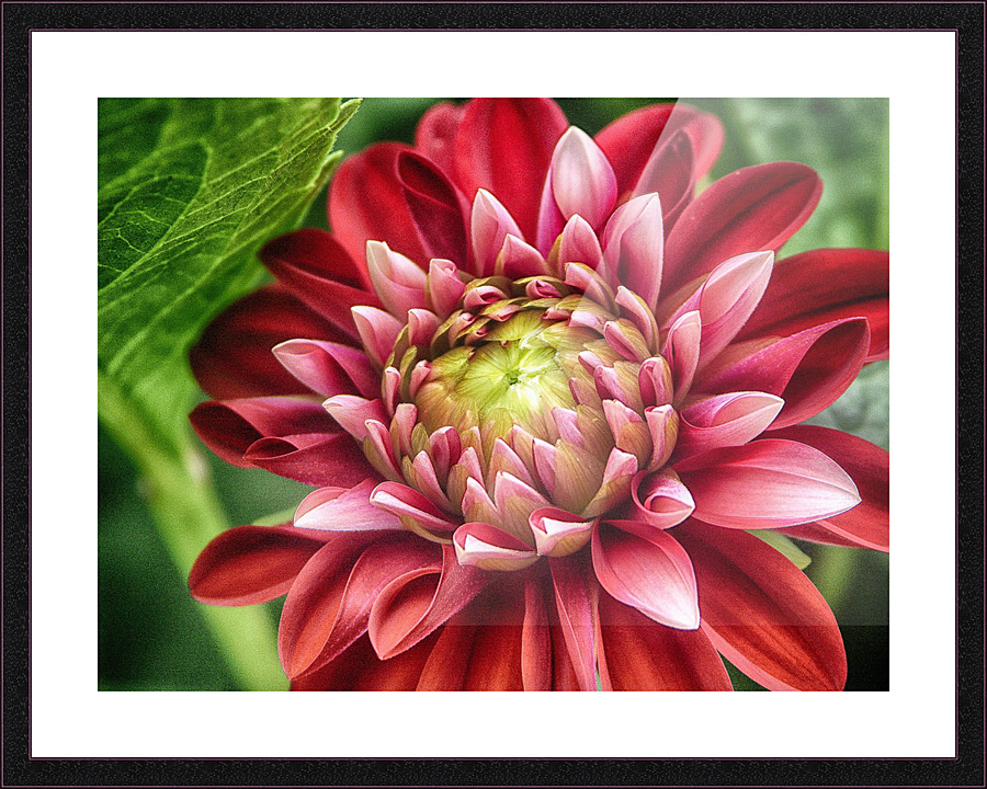 the hidden Picture Frame print