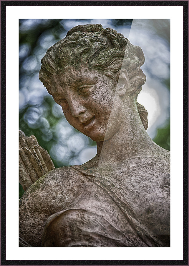 diana Picture Frame print