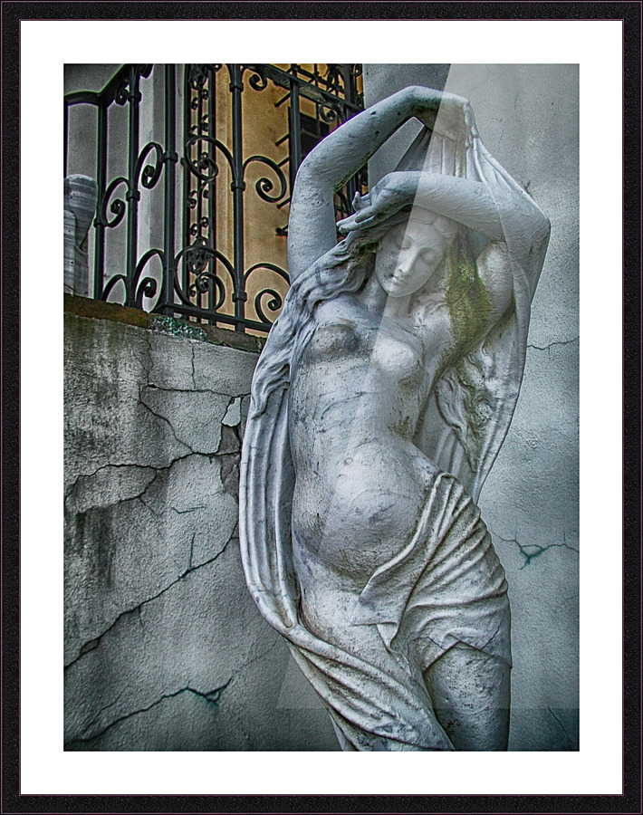 venus Picture Frame print