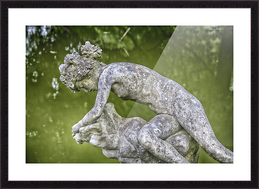 nyad Picture Frame print