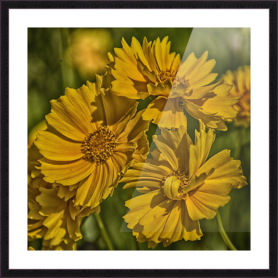 yellow Picture Frame print