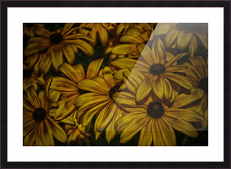 late afternoon Picture Frame print