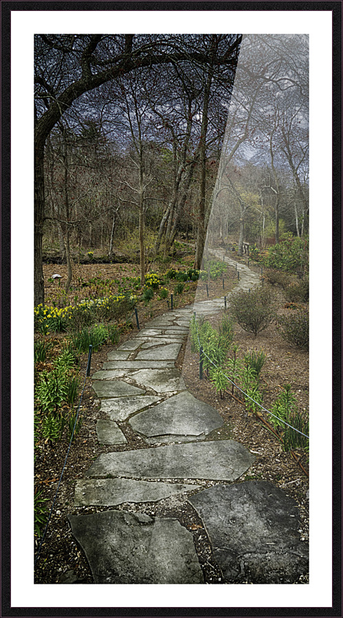 path Picture Frame print