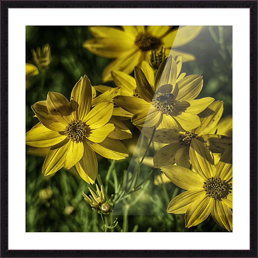 afternoon snack Picture Frame print