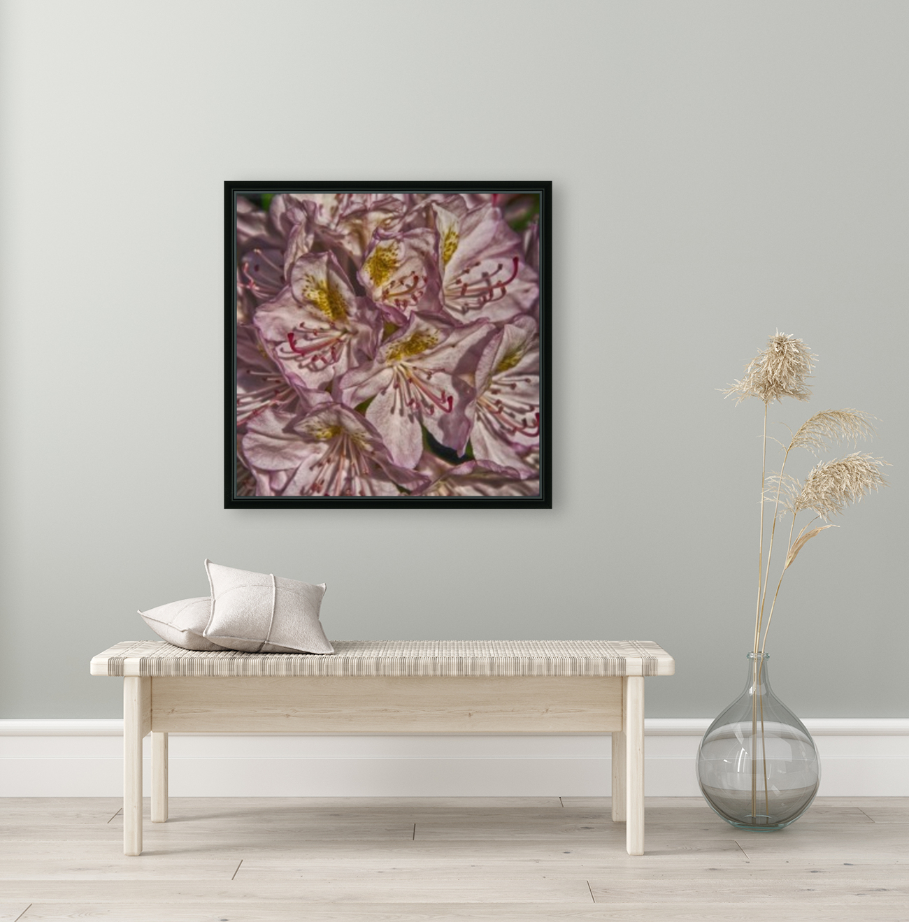 azalea Reproduction