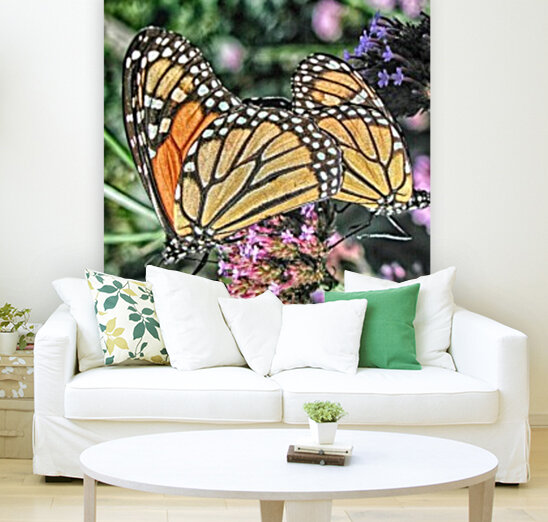 butterfly 4 Reproduction