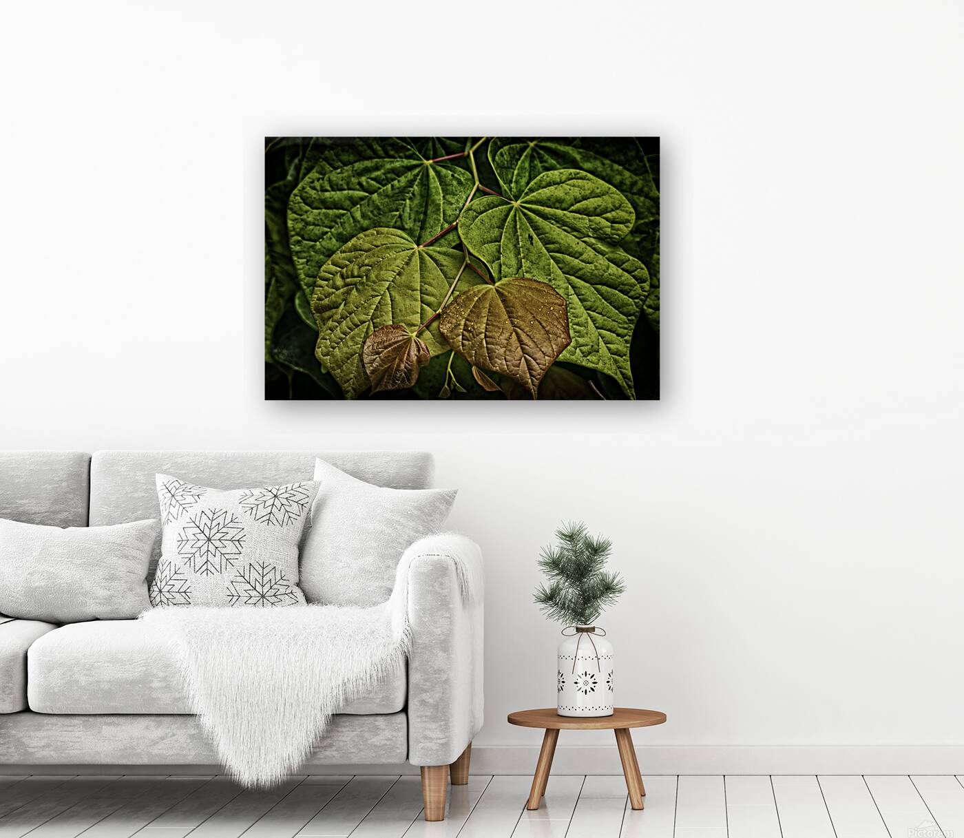 leaves Reproduction