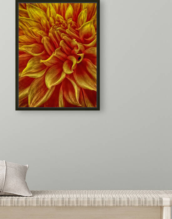 pumpkin yellow Reproduction