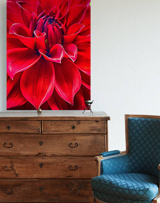 red Reproduction
