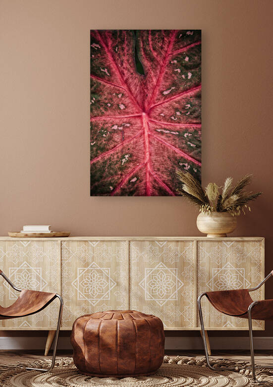 Red Leaf Reproduction