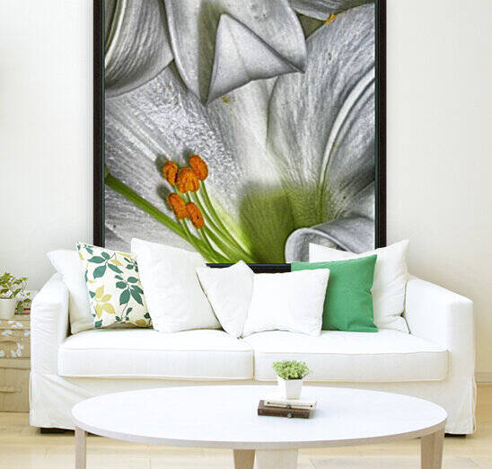 lily Reproduction