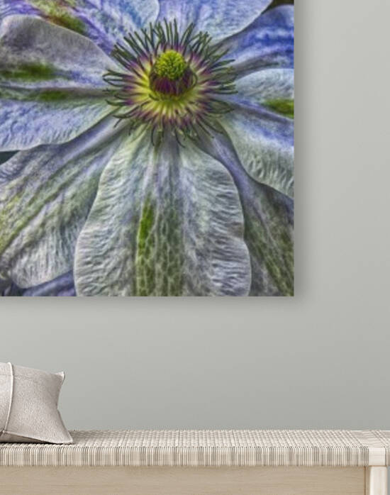 Clematis Reproduction
