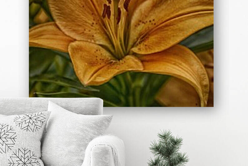 Lily 2 Reproduction