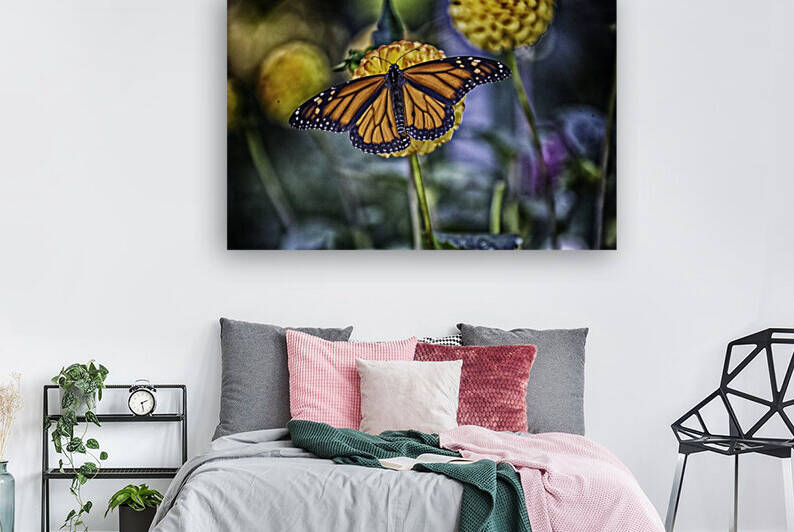 butterfly 7 Reproduction