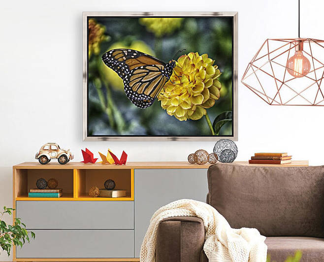 butterfly 6 Reproduction