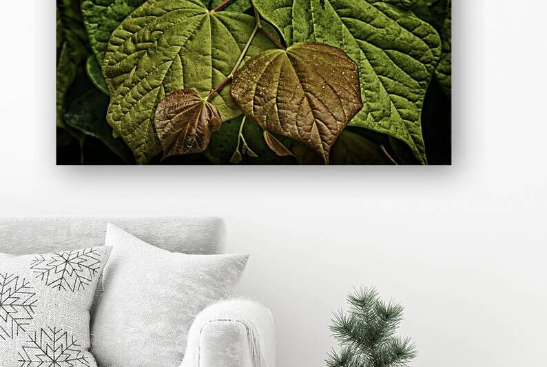 leaves Reproduction