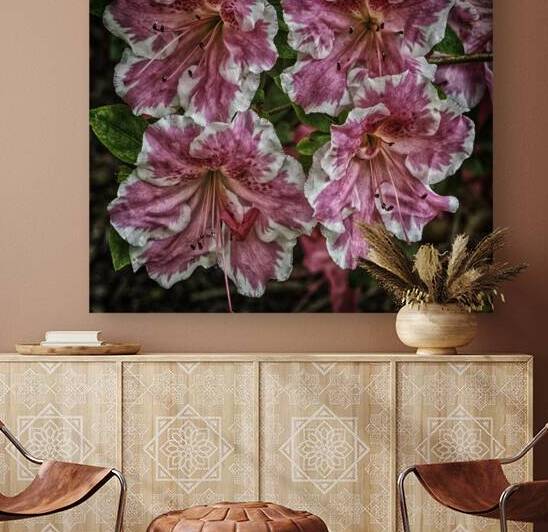 flowers Reproduction