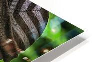 One Arm HD Metal print