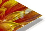 pumpkin yellow HD Metal print