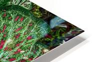 color leaves HD Metal print