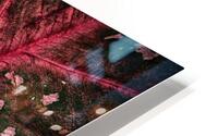 Red Leaf HD Metal print