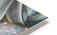 lily HD Metal print