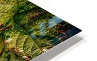 color leaves 2 HD Metal print