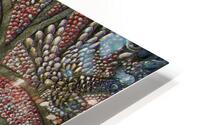 shell one HD Metal print