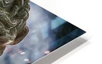 diana HD Metal print