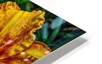 flower four HD Metal print