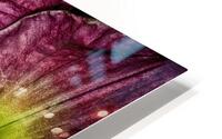flower eight HD Metal print