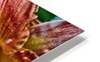 flower two HD Metal print