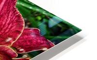 flower three HD Metal print