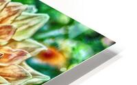 flower ten HD Metal print