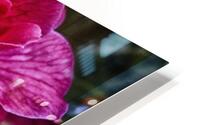 flower 16 HD Metal print