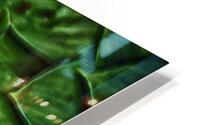 green leaves HD Metal print